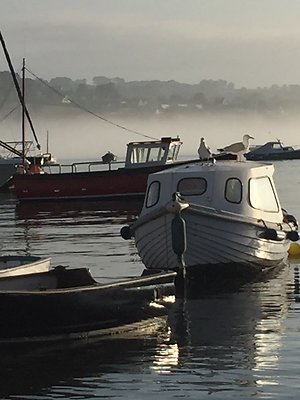 About Me. Boats Teignmouth